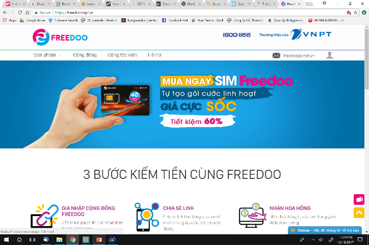 Freedoo – online social business model based on community.
